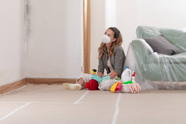 Reliable Mold Remediation contractor in North Carolina, NC by WQB Mold Removal